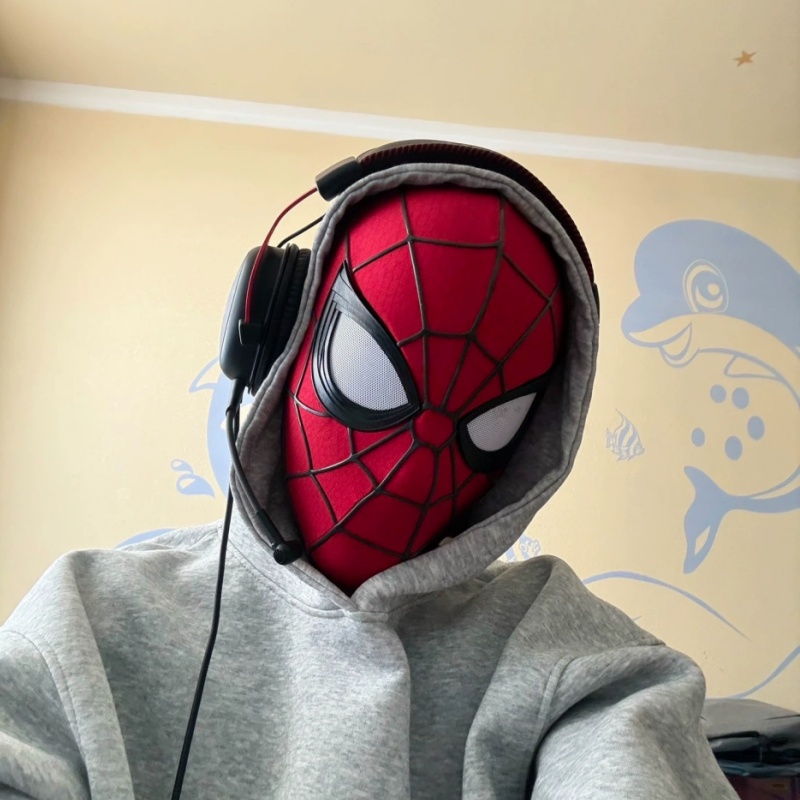 SpiderMan Brand New Day Life S - 3D Printing Mask 评论和价格
